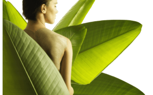 Обертывания