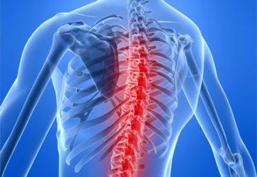 Прием ортопеда для взрослого