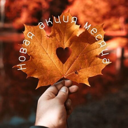 АКЦИЯ ОТ «НЕБОЛИ» ОСЕННЯЯ ПЕРЕДЫШКА